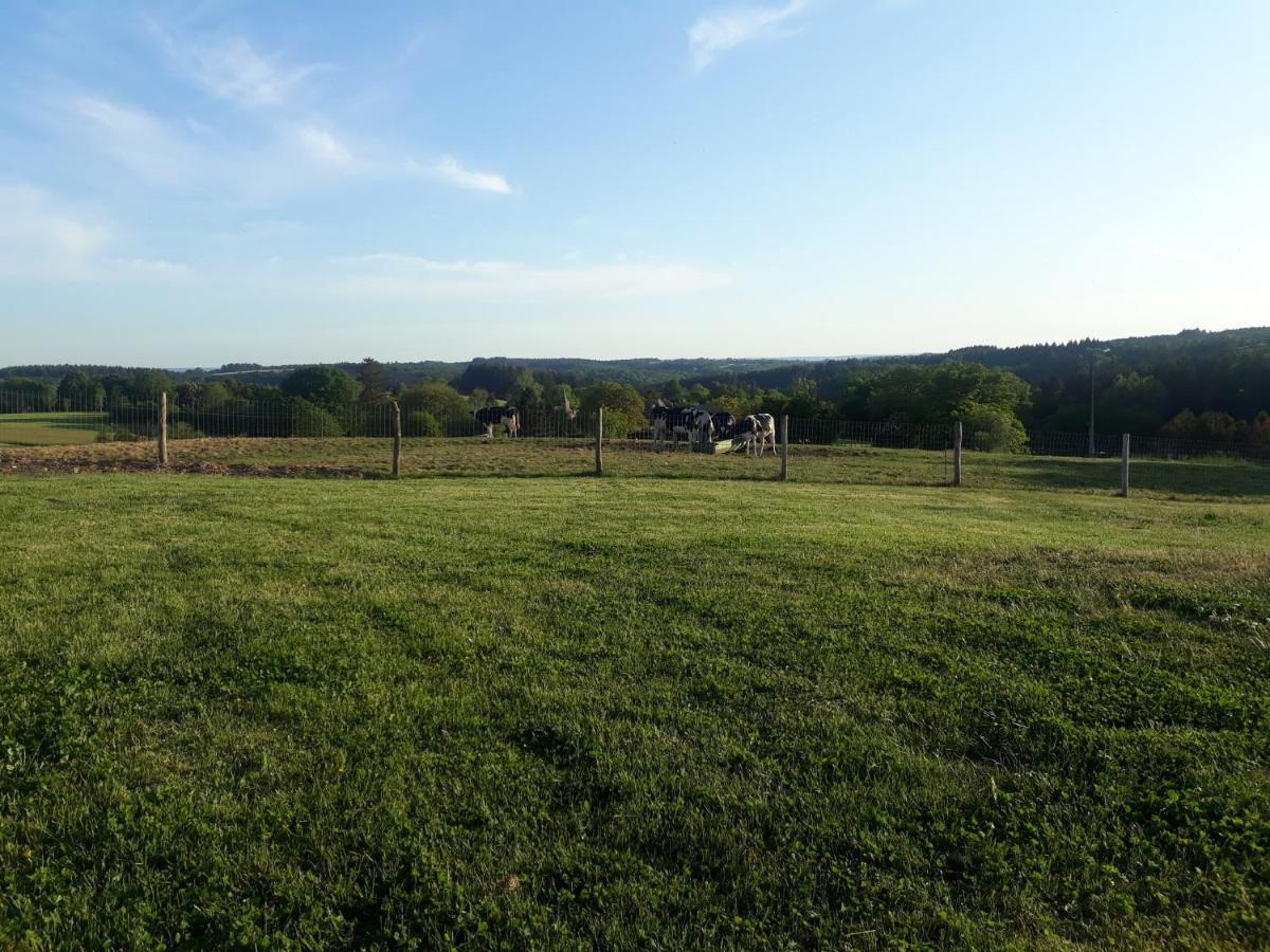 L'Harmonie Du Jardin Gite Chevetogne Luaran gambar